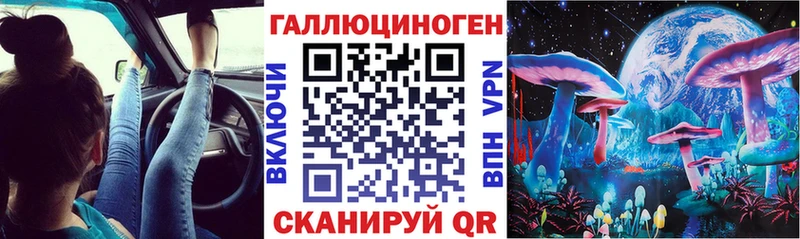 Галлюциногенные грибы Psilocybine cubensis Черняховск